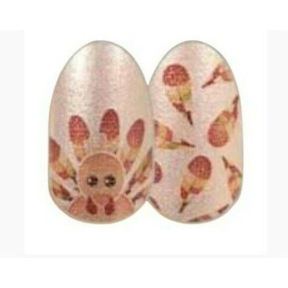 Color Street Thanksgiving Feathered Friends Nail Strips - Picture 3 of 6